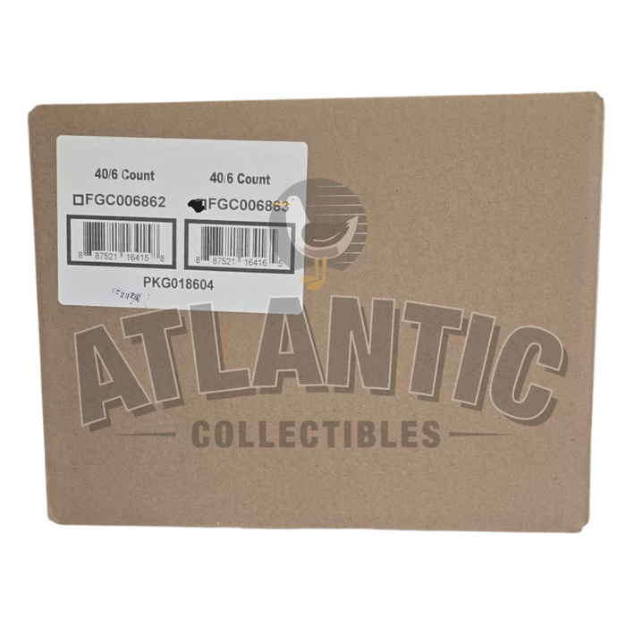 Case