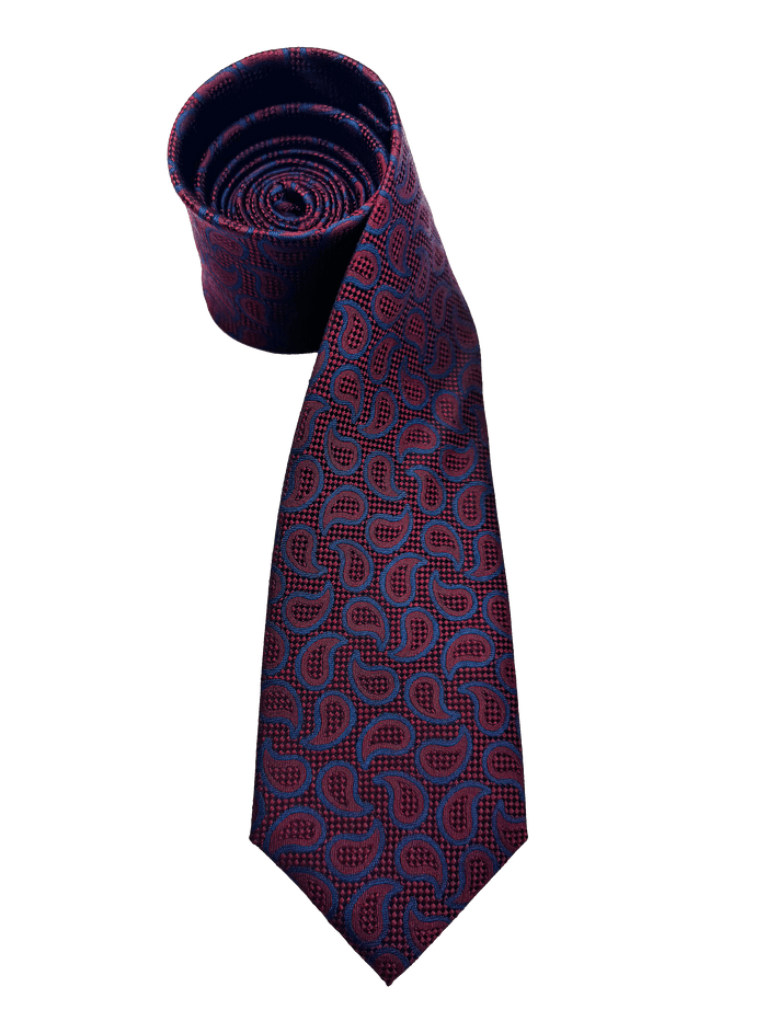 Bowery Wine Paisley Silk Tie