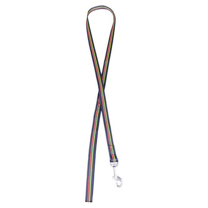 Corps Coloured Small Dog Lead