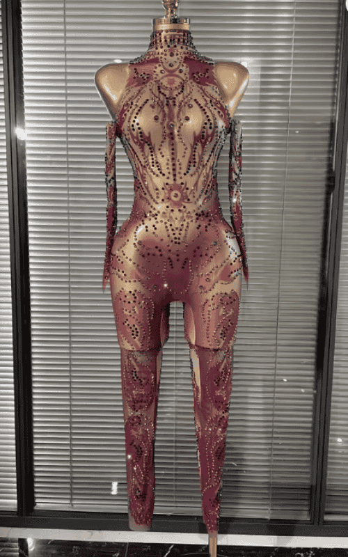 Laura Sexy Sheer Mesh Bodycon Jumpsuit