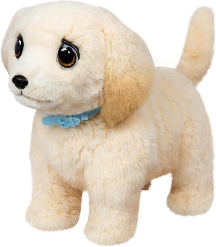 Little Live Pets Ouchies 1 Pack Cooper Battery Operated