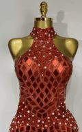 Liz Shining Rhinestone Sequin Sheer Mesh Bodycon Dress