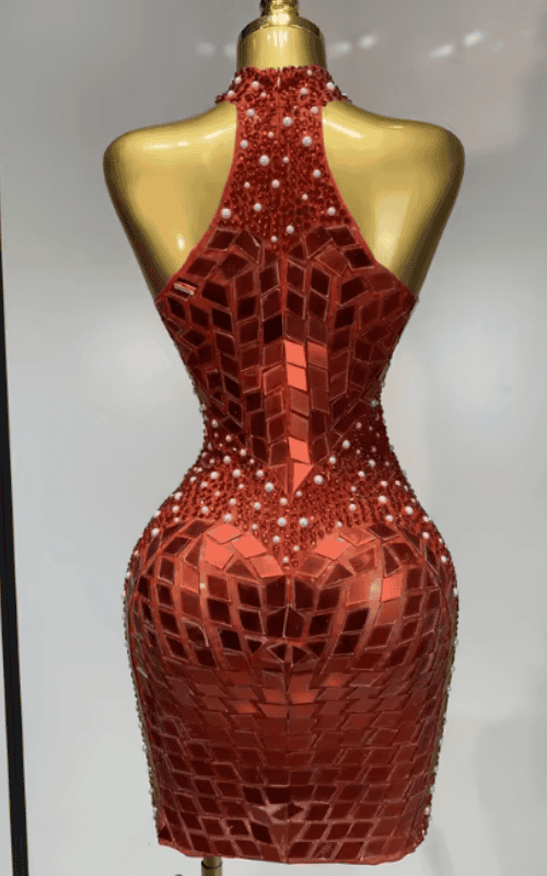Liz Shining Rhinestone Sequin Sheer Mesh Bodycon Dress