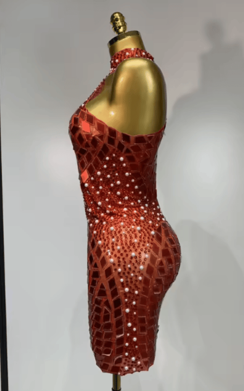 Liz Shining Rhinestone Sequin Sheer Mesh Bodycon Dress