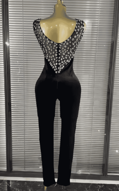 Lizza Shining Crystal Velvet Bodycon Jumpsuit