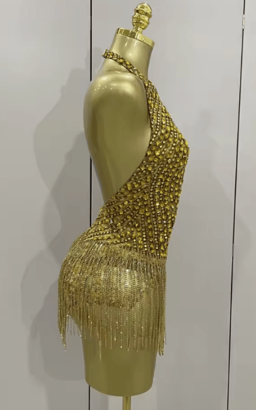 Maxie Luxury Golden Rhinestone Sheer Mesh Stretch Bodysuit