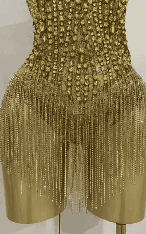 Maxie Luxury Golden Rhinestone Sheer Mesh Stretch Bodysuit