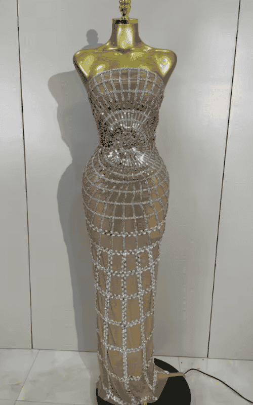 Nica shining sequin mesh long dress for women. Transparent sexy evening dress for birthdays, parties, nightclub, photoshoot, and stage wear.