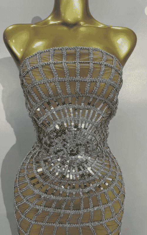 Nica shining sequin mesh long dress for women. Transparent sexy evening dress for birthdays, parties, nightclub, photoshoot, and stage wear.