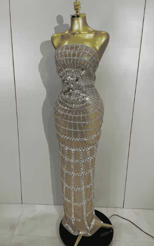 Nica shining sequin mesh long dress for women. Transparent sexy evening dress for birthdays, parties, nightclub, photoshoot, and stage wear.
