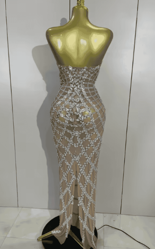 Nica shining sequin mesh long dress for women. Transparent sexy evening dress for birthdays, parties, nightclub, photoshoot, and stage wear.