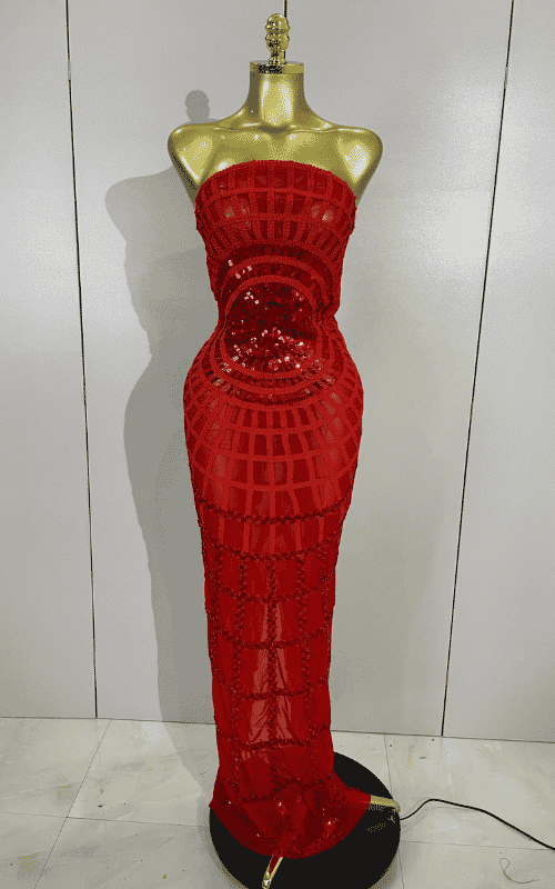 Nica shining sequin mesh long dress for women. Transparent sexy evening dress for birthdays, parties, nightclub, photoshoot, and stage wear.