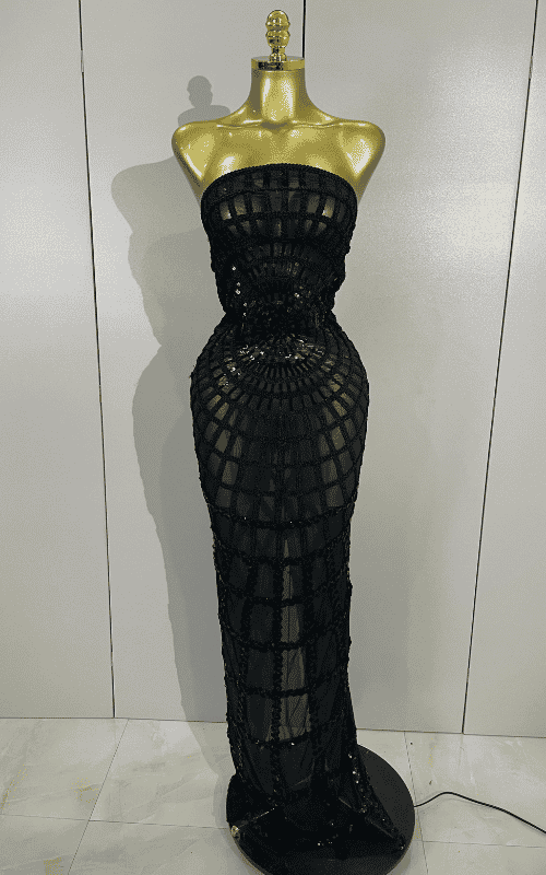 Nica shining sequin mesh long dress for women. Transparent sexy evening dress for birthdays, parties, nightclub, photoshoot, and stage wear.