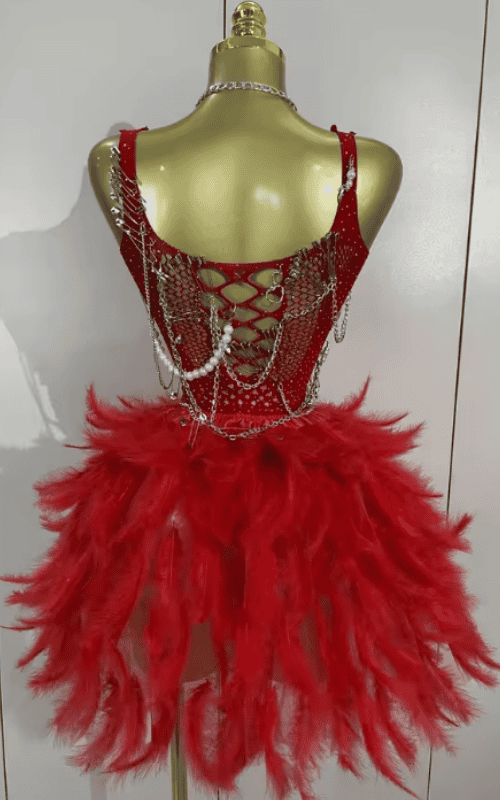 Olga Sexy Mesh Transparent Feather Trim Puffy Mini Dress