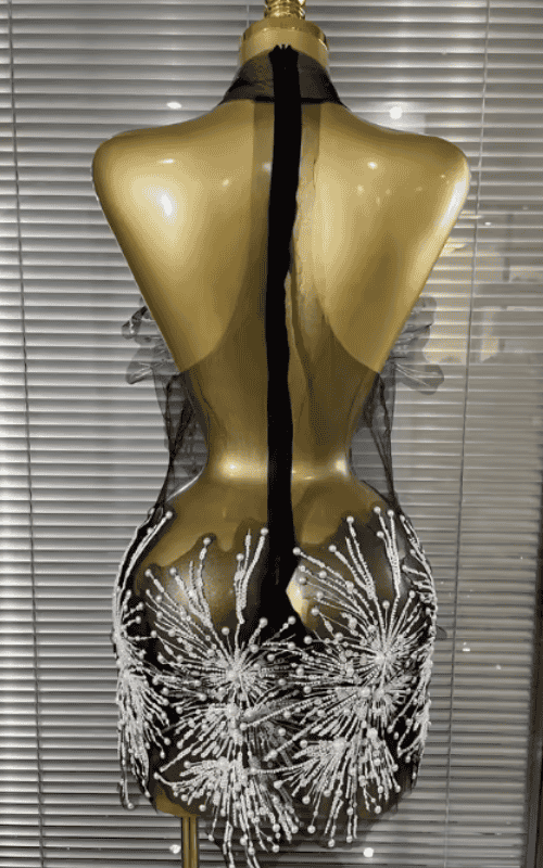 Rae Sleeveless Sheer Mesh Bodycon Mini Dress