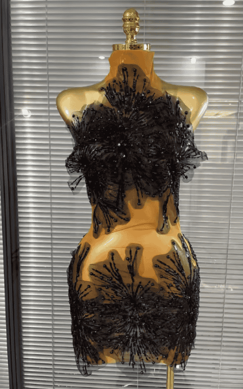 Rae Sleeveless Sheer Mesh Bodycon Mini Dress