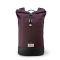 Aubergine