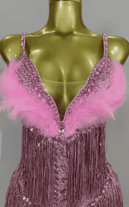 Sharmaine Sparkly Rhinestone Pink Feather Tassel Sheer Mesh Bodysuit