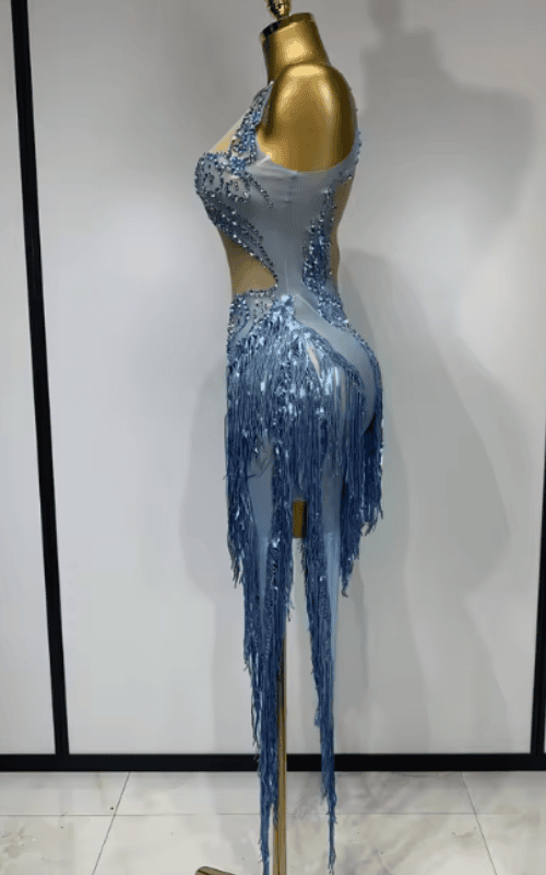 Shin Sparkly Sequin Rhinestone Tassel Sheer Mesh Sleeveless Dress