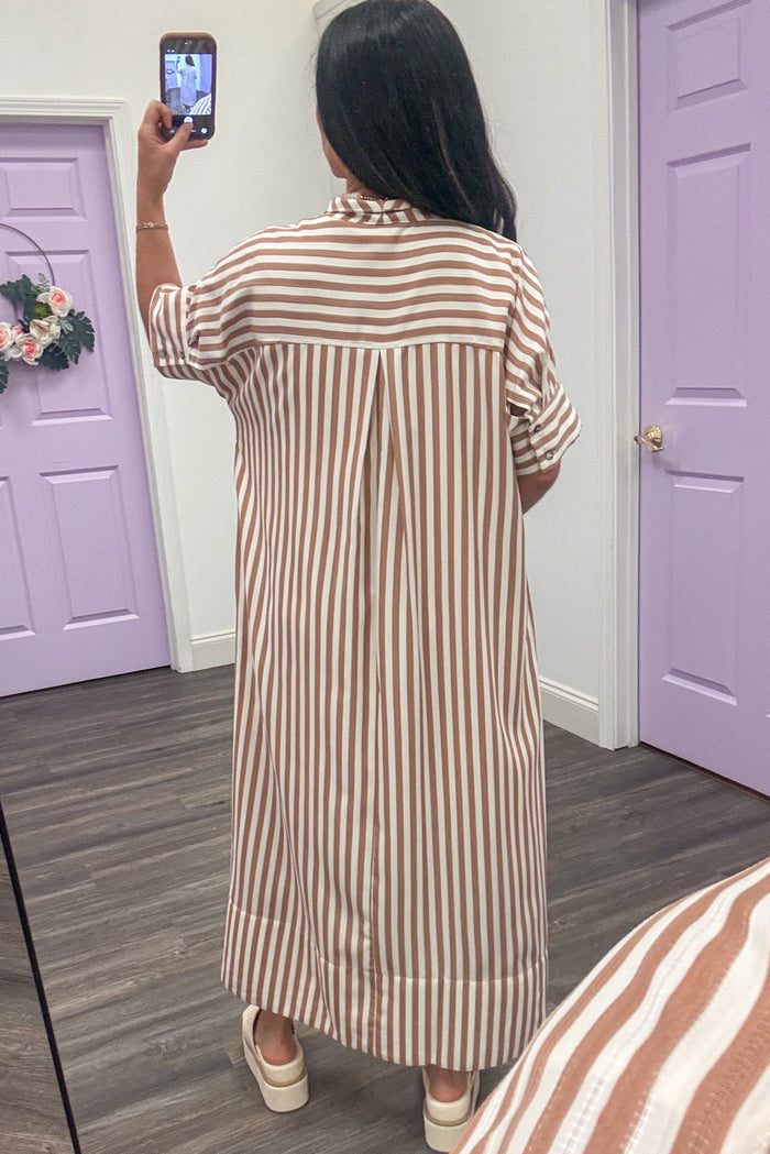 taupe and ivory striped collared short sleeve midi dress back view