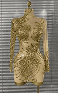 Stephanie Sparkly Golden Crystal Sleeveless O Neck Sheer Mesh Bodycon Mini Dress