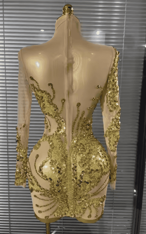 Stephanie Sparkly Golden Crystal Sleeveless O Neck Sheer Mesh Bodycon Mini Dress