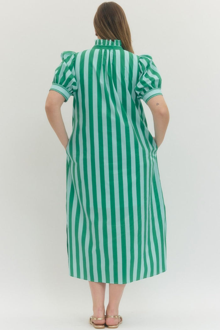 Entro green and mint striped button down poplin midi dress in plus size showing back silhouette