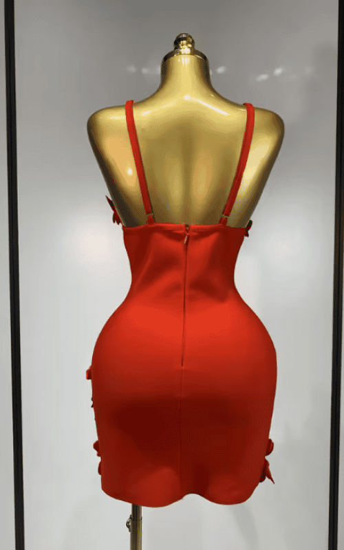 Taaliyah V neck floral bodycon bandage mini dress designed for birthdays, cocktail parties, and elegant evening events.
