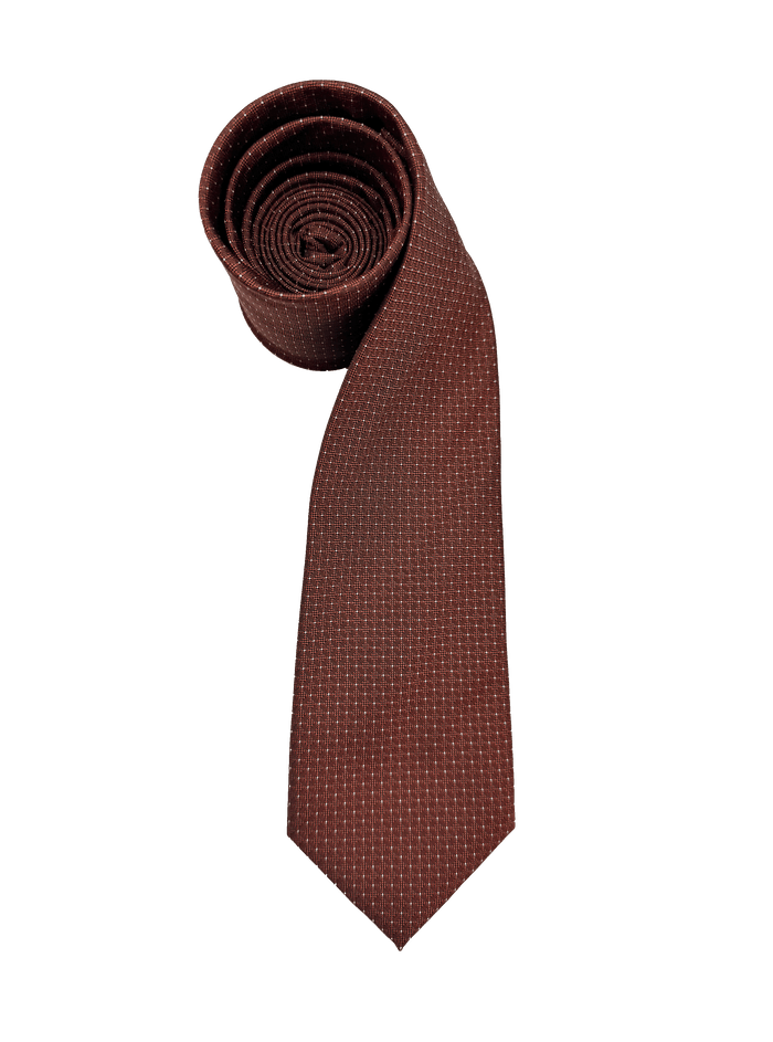 Tribeca Amber Dotted Tie