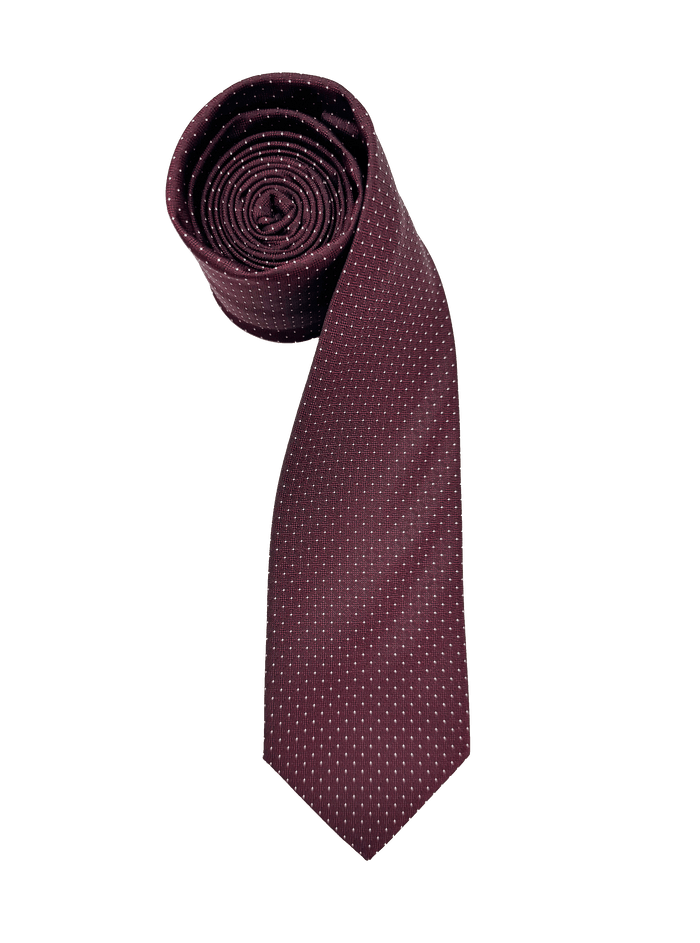 Tribeca Burgundy Dotted Tie