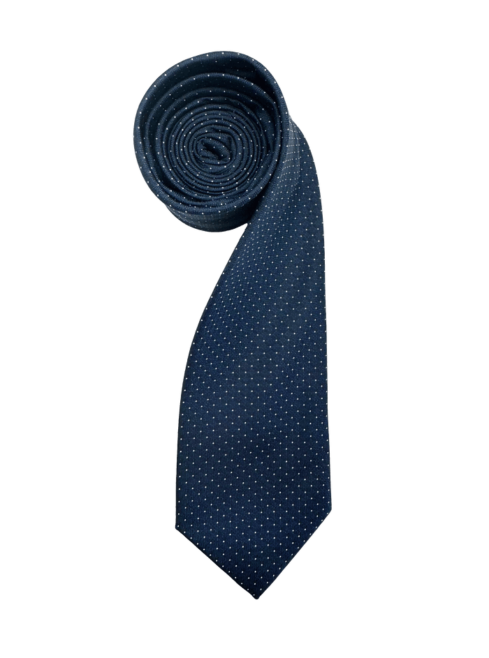 Tribeca Navy Dotted Tie