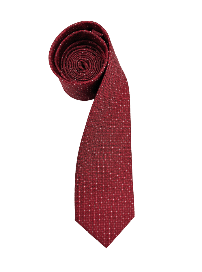 Tribeca Red Dotted Tie