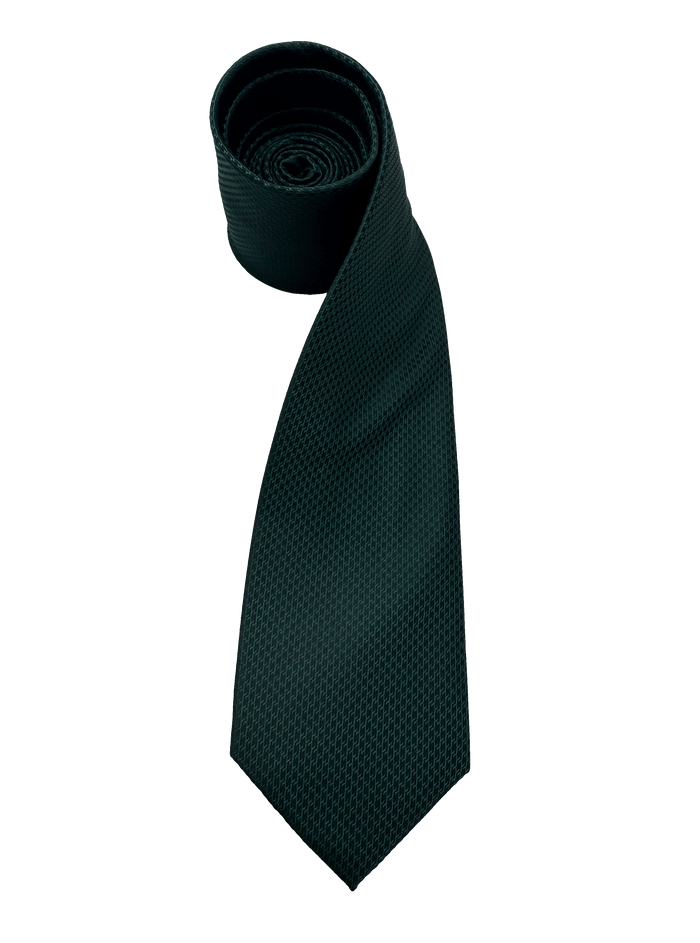Varick Dark Green Textured Tie