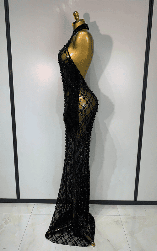 Zarrah Sleeveless Pearl Lace Sheer Mesh Black Maxi Dress