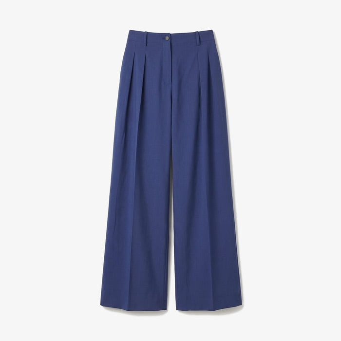 Blue wide-leg pants on a light gray background.